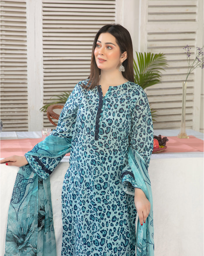 ALEEZAY Vol-2035