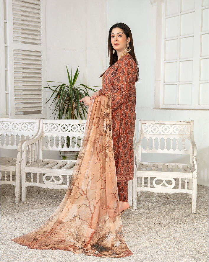 ALEEZAY Vol-2035