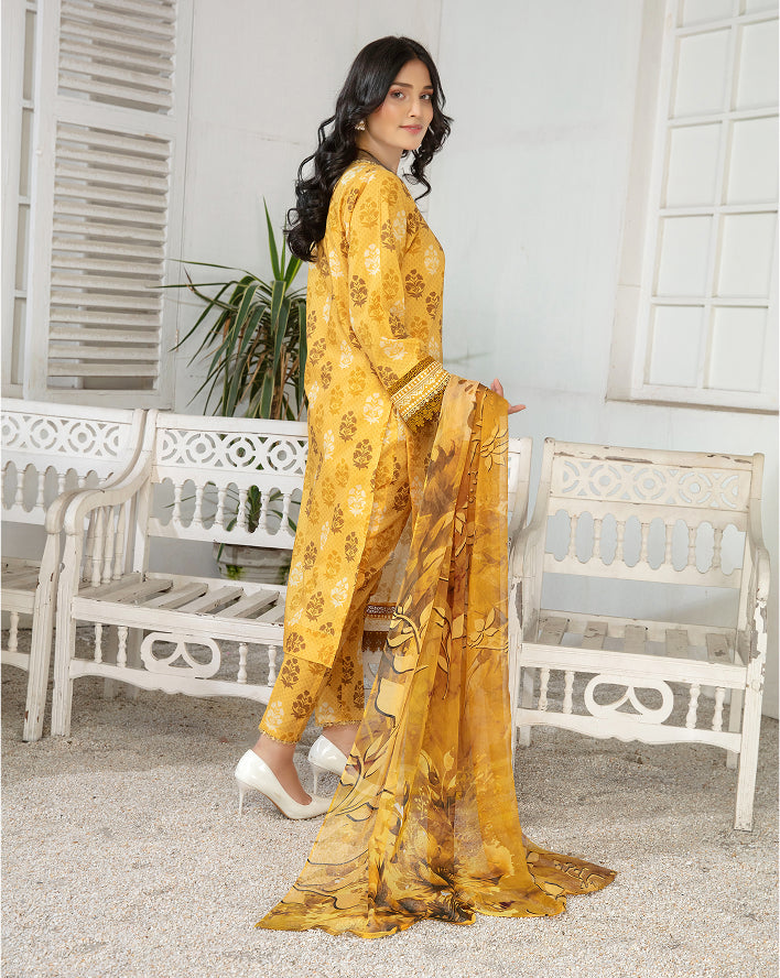 ALEEZAY Vol-2035